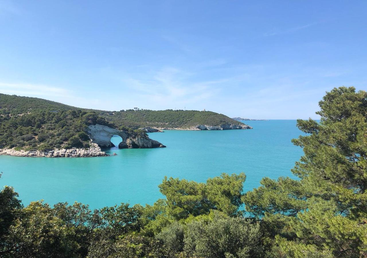 Vieste Suite ภายนอก รูปภาพ